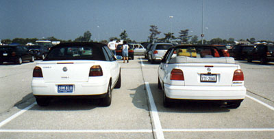 Two Cabrios - Rear View